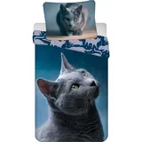 OEM Jerry Fabrics Katze Bunt 140 x 200 cm + 70 x 90 cm