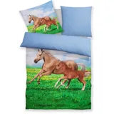 Bettwäsche MY HOME "Lyki", pferd, B/L: 155cm x 220cm, 1 Stk., 1 Stk., Microfaser, B/L: 80cm x 80cm, 2 Stk., Microfaser, Obermaterial: 100% Polyester, Bettwäsche, Bettwäsche, ab Größe 135x200 cm, 100% Polyester, Katze, Pferd, Löwe, Pinguin