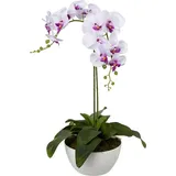 Creativ green Kunstpflanze Orchidee, Creativ green, Höhe 65 cm lila