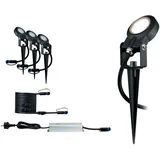 Paulmann Sting 3er Set 93696