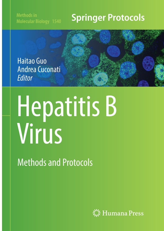Hepatitis B Virus  Kartoniert (TB)