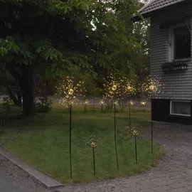 Star Trading Star Trading