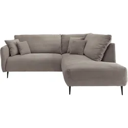 Ecksofa INOSIGN "Vanilla L-Form", braun, B:255cm T:190cm, Sofas, Armlehnenfunktion