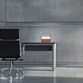 neuhaus pure® by paul neuhaus Pure Go Bronze