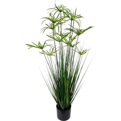 Kunstpflanze I.GE.A. "Zyperngras im Topf" Kunstpflanzen Gr. B/H: 35 cm x 120 cm, grün Kunstgras Kunstpflanzen