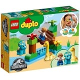 LEGO® DUPLO® Dino-Streichelzoo 10879