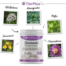 Exvital TierPlus Nervenwohl Relax Pulver für Pferde 900 g