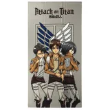 Cerdá Attack on Titan Handtuch 70 x 140 cm grau
