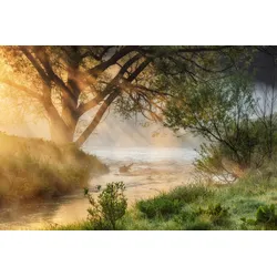 Fototapete PAPERMOON "Fluss am Baum", bunt, B:2,00m L:1,49m, Vlies, Tapeten