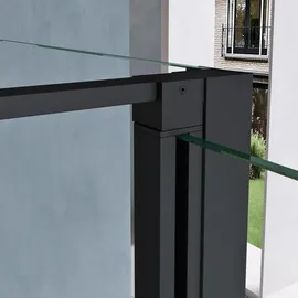 doporro Ravenna66 U-Form Duschkabine mit Drehtür 90 x 100 cm schwarz Klarglas D648360641500