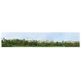 faller® Hintergrund Kleinstadt 180509 H0/TT