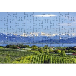 GMEINER Puzzle Puzzle-Postkarte Bodensee 3, Puzzleteile