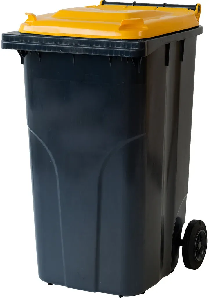 Abfall- und Wertstoffsammelbehälter / 2-Rad Container (F) -  anthrazit / anthrazit / 580