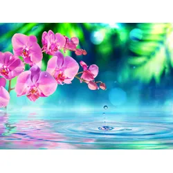 Fototapete PAPERMOON "Zen Orchid and Droplets", bunt (mehrfarbig), B:3m L:2,23m, Vlies, Tapeten