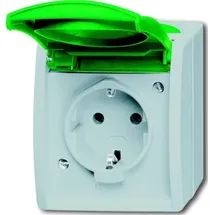 Busch-Jaeger Schuko-Steckdose 20 EWN-13-53 Grau/Grün 2 St.