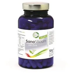 SanaSilicium mit Zink120 Kapseln – Hochwertige Silicium-Quelle