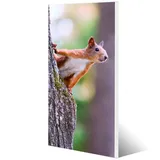 banjado Magnettafel 37x78cm Magnetwand Weiß Aus Metall Magnetpinnwand Pinnwand Inkl. 4 Magnete Motiv Eichhörnchen