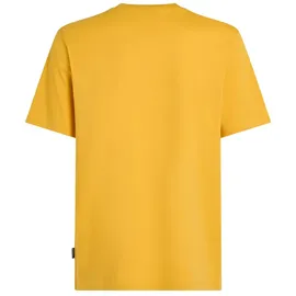 O'Neill Small Logo T-Shirt in Gelb | Gr.: M