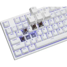 GENESIS Thor 404 TKL Kailh Brown RGB Weiß