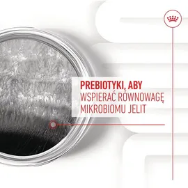 Royal Canin Digestion Adult Chews 160 g