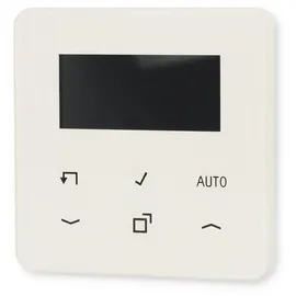 Jung Timer Standard, Display Echtglasfront CD 1750 D WW