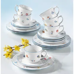 Seltmann Weiden SONATE Nostalgie 34032 Streublume Kaffeeservice 18 teilig