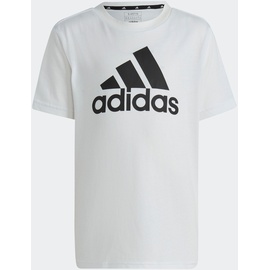 adidas Sportswear T-Shirt »LK BL CO TEE«, schwarz-weiß