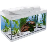 Tetra Starter Line 54,0 l Komplettaquarium mit Zubehör weiß