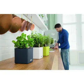 LECHUZA Cube Color Komplettset 14 x 14 x 14 cm weiß