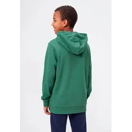 Champion Hoodie Green 152