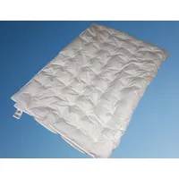 Betten Hofmann Daunenbettdecke Betten Hofmann Franken Sommer Daunendecke Punktstepp 155x220 cm Gänsed, Füllung: 100% Daunen, Bezug: 100% Baumwolle, für den Sommer, hergestellt in Deutschland, allergikerfreundlich weiß