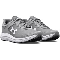 Under Armour Schuhe Charged Assert 10 3026175102