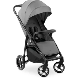hauck Shop N Care Grau