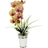 I.GE.A. Kunstblume »Orchidee«, im Topf, aus Keramik, Seidenblume Real Touch, rosa