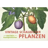 Anaconda Postkarten-Set Vintage-Schaubilder Pflanzen
