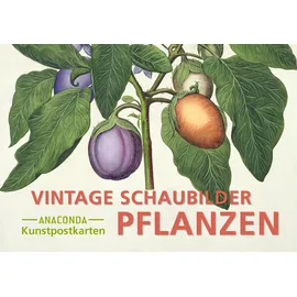 Anaconda Postkarten-Set Vintage-Schaubilder Pflanzen