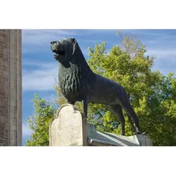 FKA Architektur- und Skulpturenfotografie in der Löwenstadt Braunschweig - Eine schöne Fotoreise 08.08.25