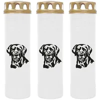 HS Candle Grabkerze GK-03859 (3-tlg), Grabkerze Brenndauer 170 Stunden mit Motiven