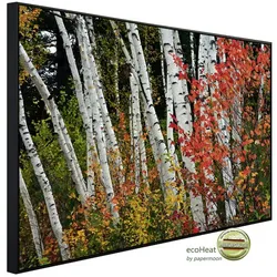 papermoon Infrarotheizung »EcoHeat - Herbst Birkenwald«, Matt-Effekt - bunt