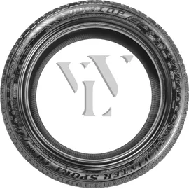 Dunlop SP Winter Sport 4D 225/55 R16 95H