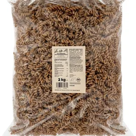 Koro NUDEL_004 Pasta