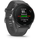 Garmin Forerunner 255 46 mm schiefergrau/schwarz