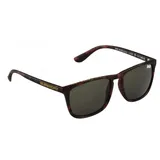 Sonnenbrille Superdry Shockwave - Unisex