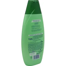 Schwarzkopf 7 Kräuter 400 ml
