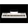 Artestia Artesia Performer Stage-Piano Keyboard Weiss (88 Tasten), Keyboard, Weiss