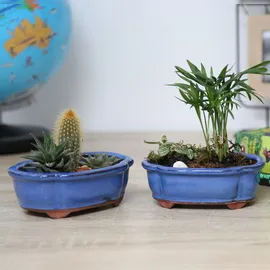 H&D Manufaktur Jinfa 2 glasierte Keramik Bonsai Töpfe mit Entwässerungslöchern – 2 Drainagegitter | Blau