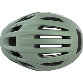 Alpina Paranus MIPS 52-56 cm willow-green matt 2021