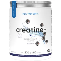 Nutriversum Creatine+ (300 g, Schwarze Johannisbeere)