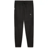 Puma Puma, Herren, Sporthose, Flex Panelled Tapered Jogger (M), Schwarz, M