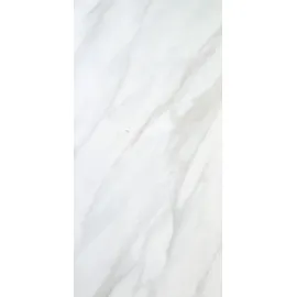 Euro Stone Bodenfliese Feinsteinzeug Weiß 60 x 120 cm